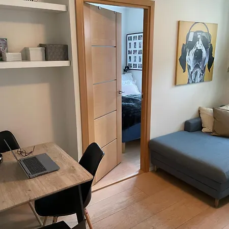 Stroken Loftleilighet Midt I Oslo. 公寓