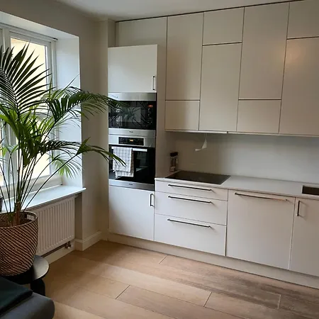 Stroken Loftleilighet Midt I Oslo.