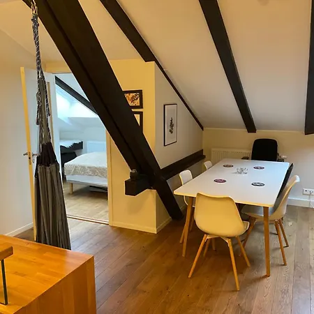 公寓 Stroken Loftleilighet Midt I Oslo. *