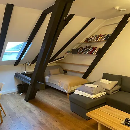 公寓 Stroken Loftleilighet Midt I Oslo. *