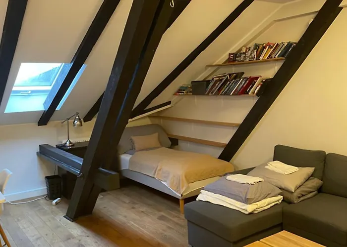 Apartment Stroken Loftleilighet Midt I Oslo. *